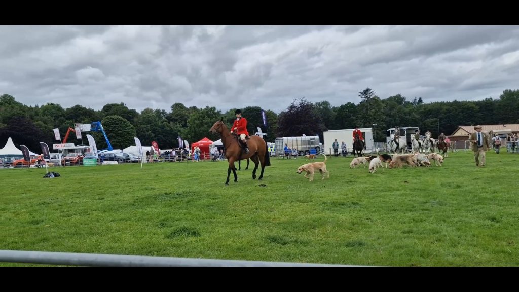 Buccleuch Hunt-min - Retirement Reblended