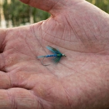 For clarity, the provided image shows a fully intact lure. It highlights the specific section (the hook bend and point) that has broken off the defective unit. This visual confirms that the damaged lure is missing its primary catching mechanism due to breakage.
